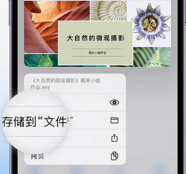 桦南apple维修中心分享iPhone文件应用中存储和找到下载文件