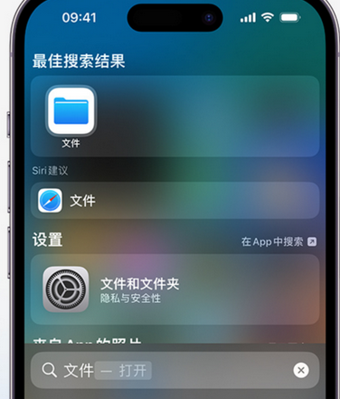 桦南apple维修中心分享iPhone文件应用中存储和找到下载文件