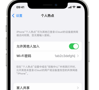 桦南apple服务站点分享iPhone上个人热点丢失了怎么办 