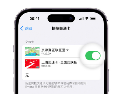 桦南apple维修点分享iPhone上更换Apple Pay快捷交通卡手绘卡面 