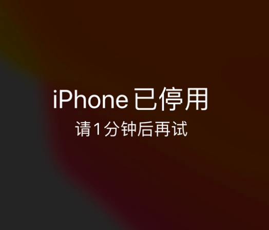 桦南苹果手机维修分享:iPhone 显示“不可用”或“已停用”怎么办？还能保留数据吗？ 