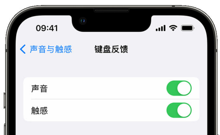 桦南苹果手机维修分享iPhone 14触感键盘使用方法 