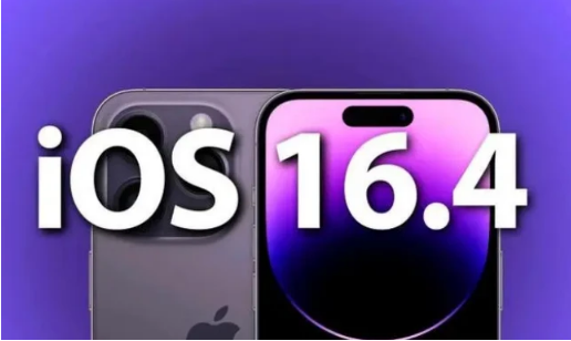 桦南苹果14维修分享：iPhone14可以升级iOS16.4beta2吗？ 