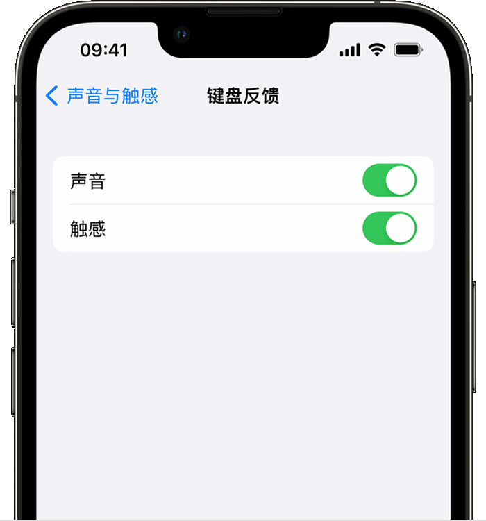 桦南苹果14维修店分享如何在 iPhone 14 机型中使用触感键盘 