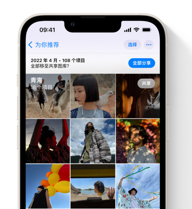 桦南苹果维修网点分享在 iPhone 上使用共享图库 