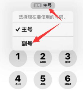 桦南苹果14维修店分享iPhone 14 Pro Max使用副卡打电话的方法 