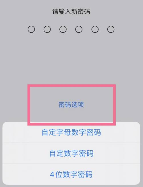 桦南苹果14维修分享iPhone 14plus设置密码的方法 