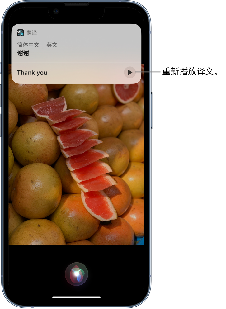 桦南苹果14维修分享 iPhone 14 机型中使用 Siri：了解 Siri 能帮你做什么 