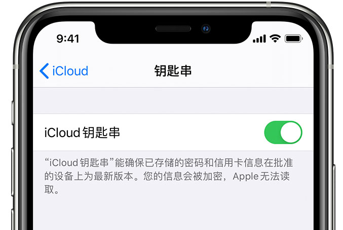 桦南苹果手机维修分享在 iPhone 上开启 iCloud 钥匙串之后会储存哪些信息 