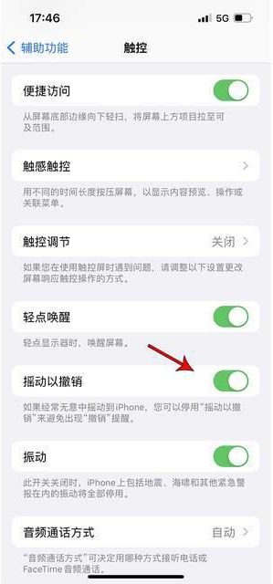 桦南苹果手机维修分享iPhone手机如何设置摇一摇删除文字 