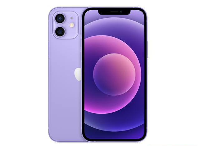 桦南苹果手机维修分享现阶段要不要入手紫色版iPhone12 