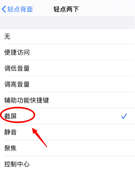 桦南苹果手机维修分享iPhone12如何启用双击截屏 